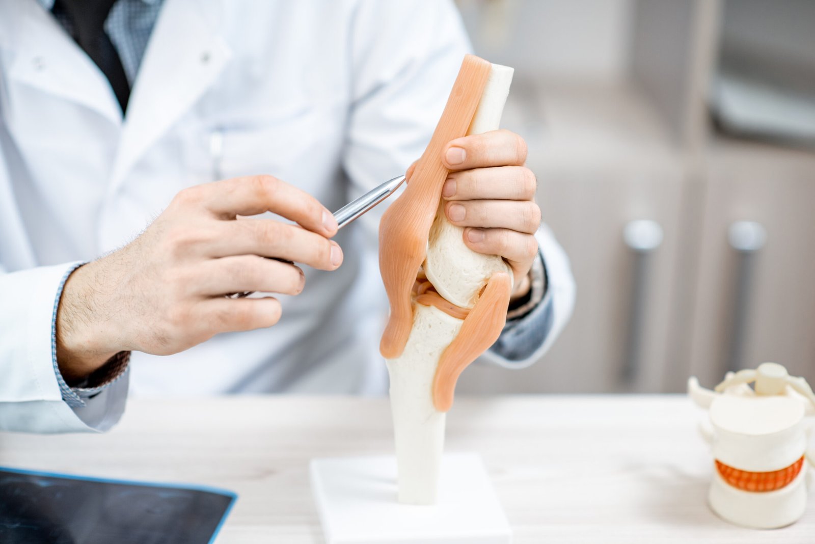 therapist showing knee joint model 2025 03 18 13 21 14 utc scaled