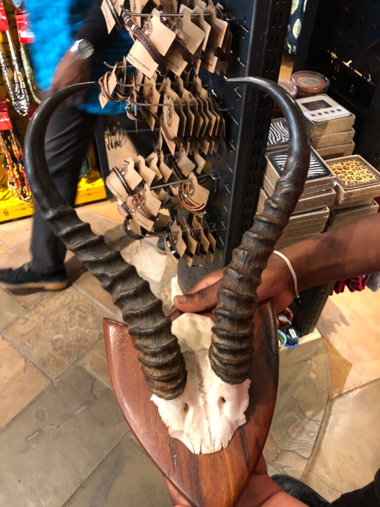 IMG 1380
