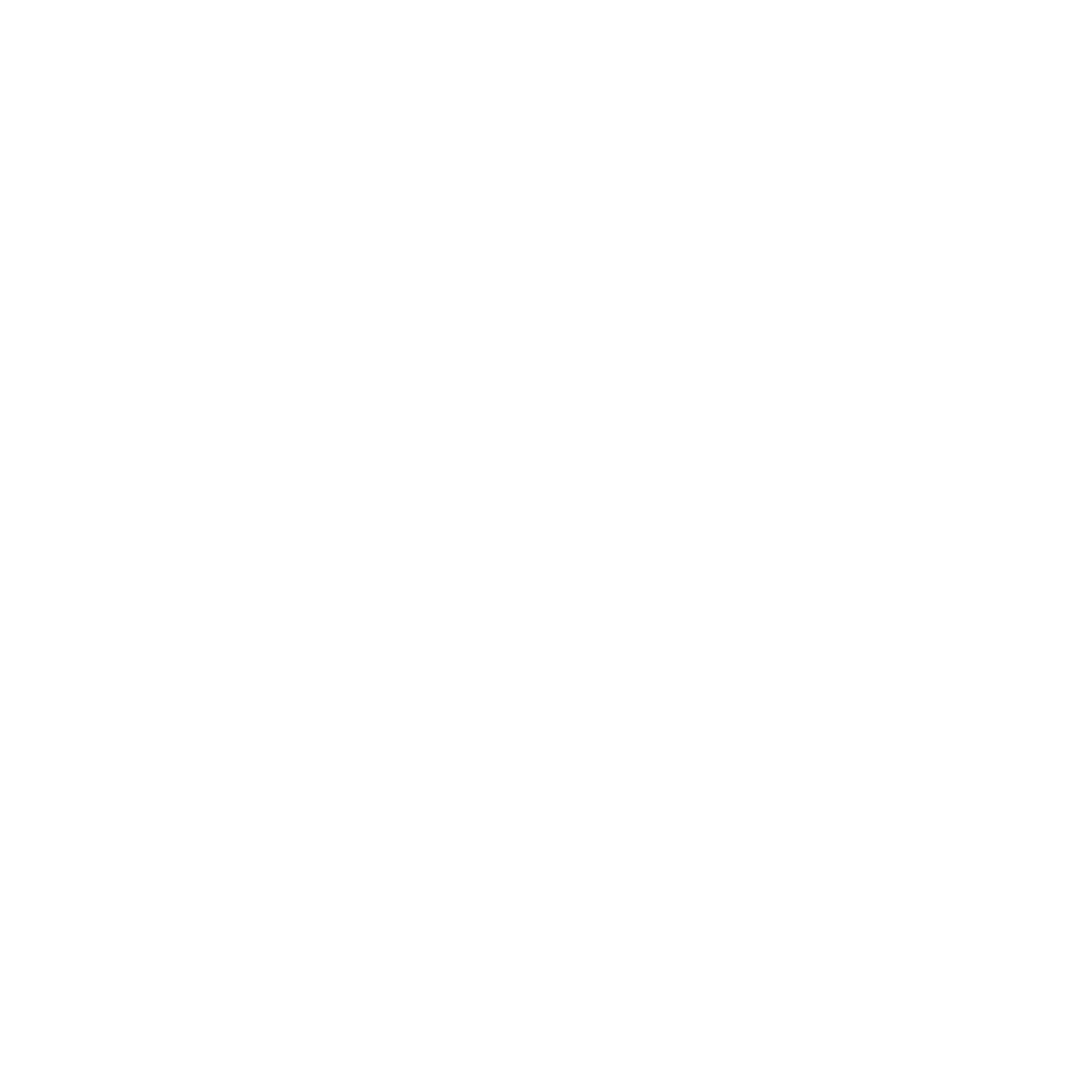 logo-1.1