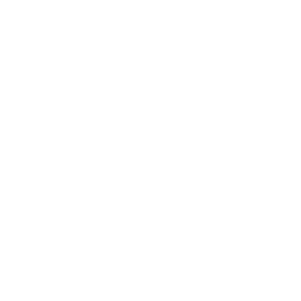 logo-1.2