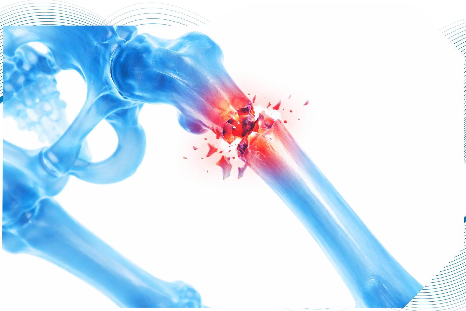 Your paragraph text 1