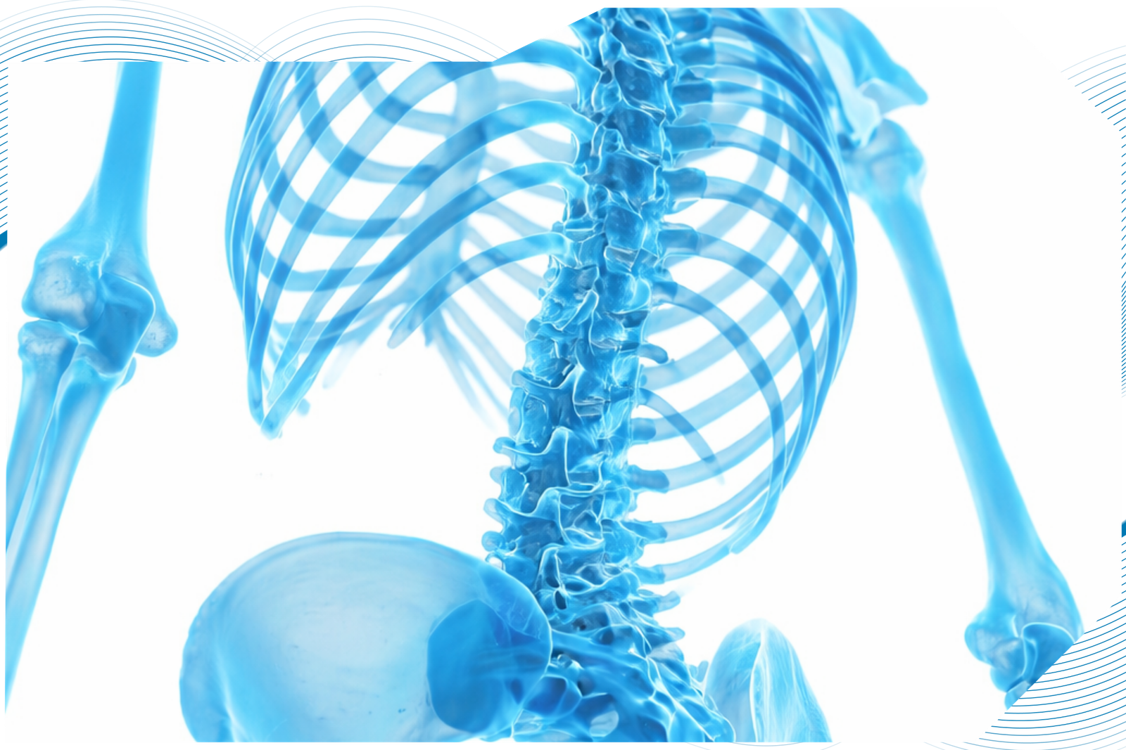 Your paragraph text 5