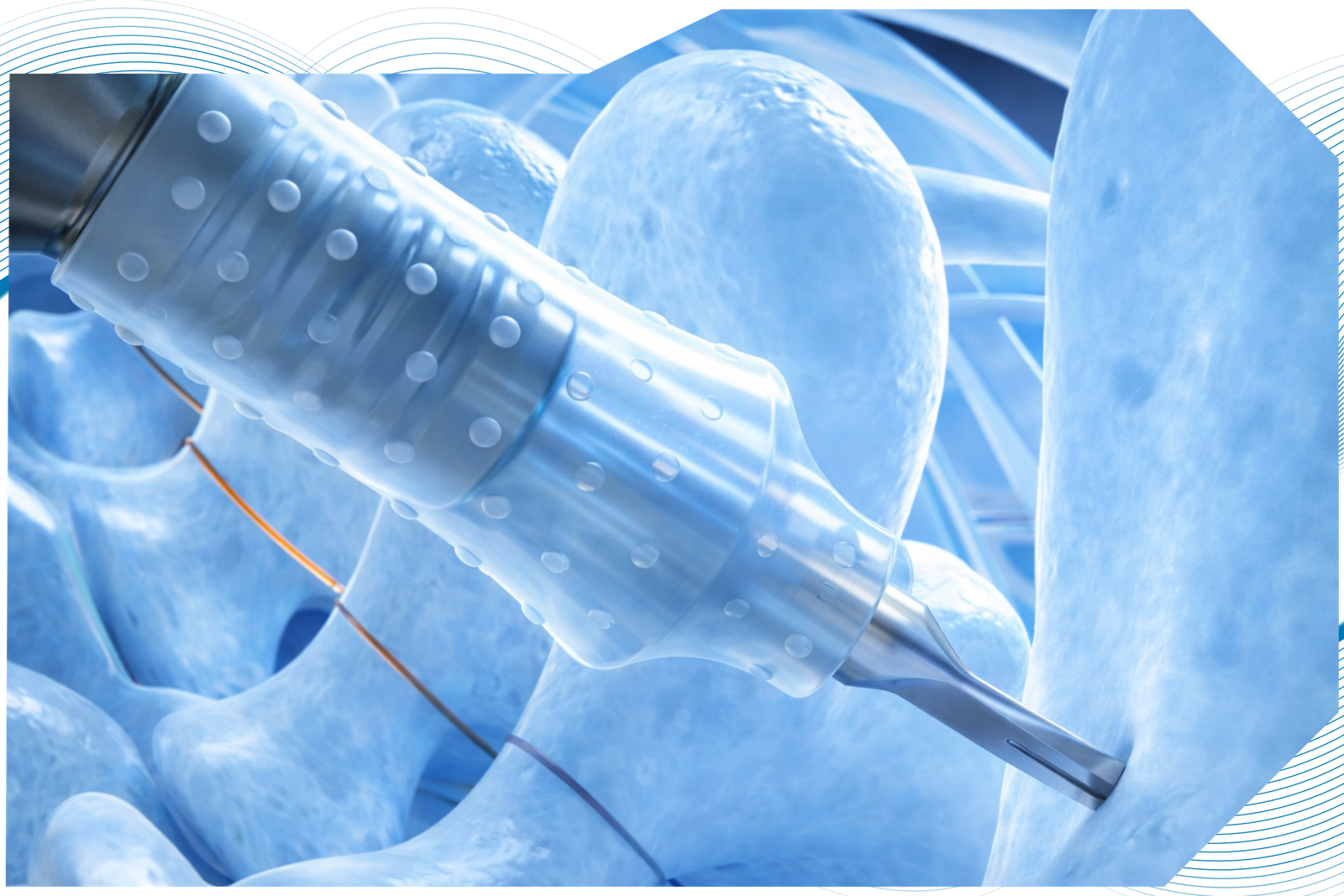 Your paragraph text 6