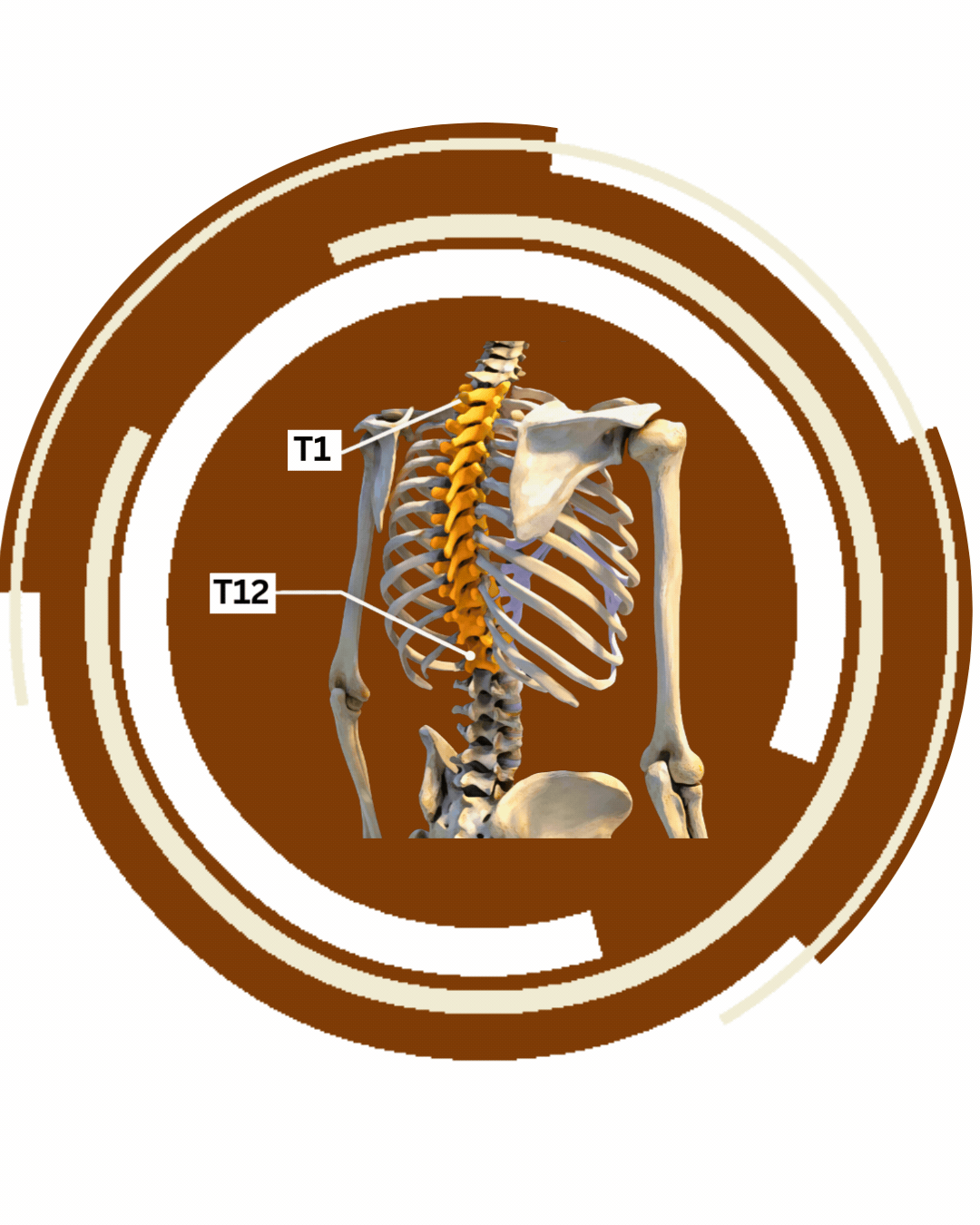 CURE WEBSITE GRAPHIC 1