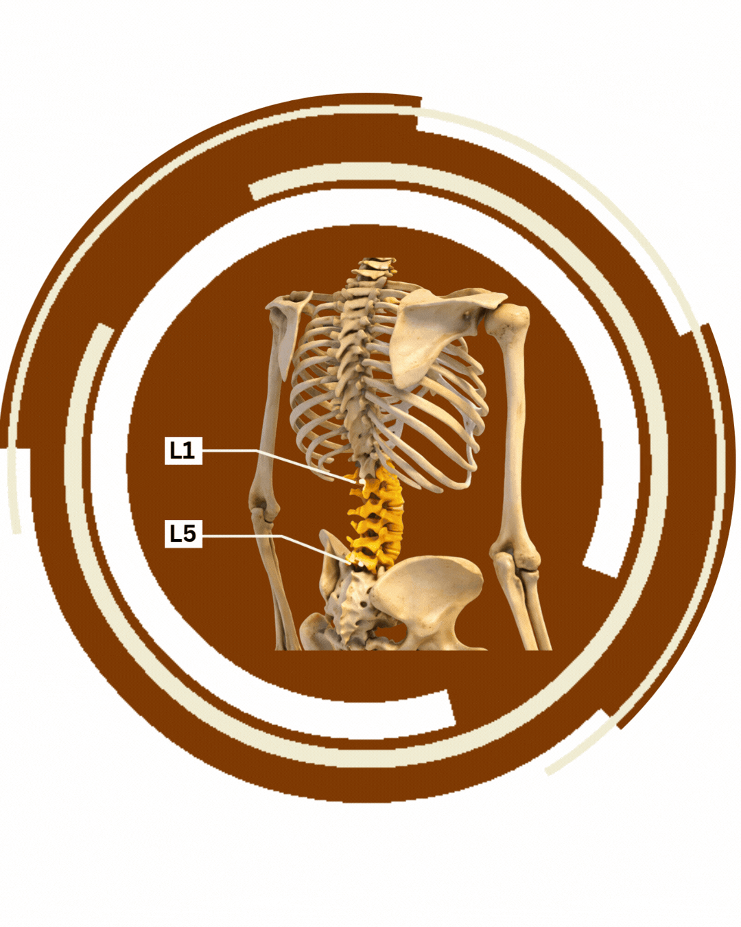 CURE WEBSITE GRAPHIC 2