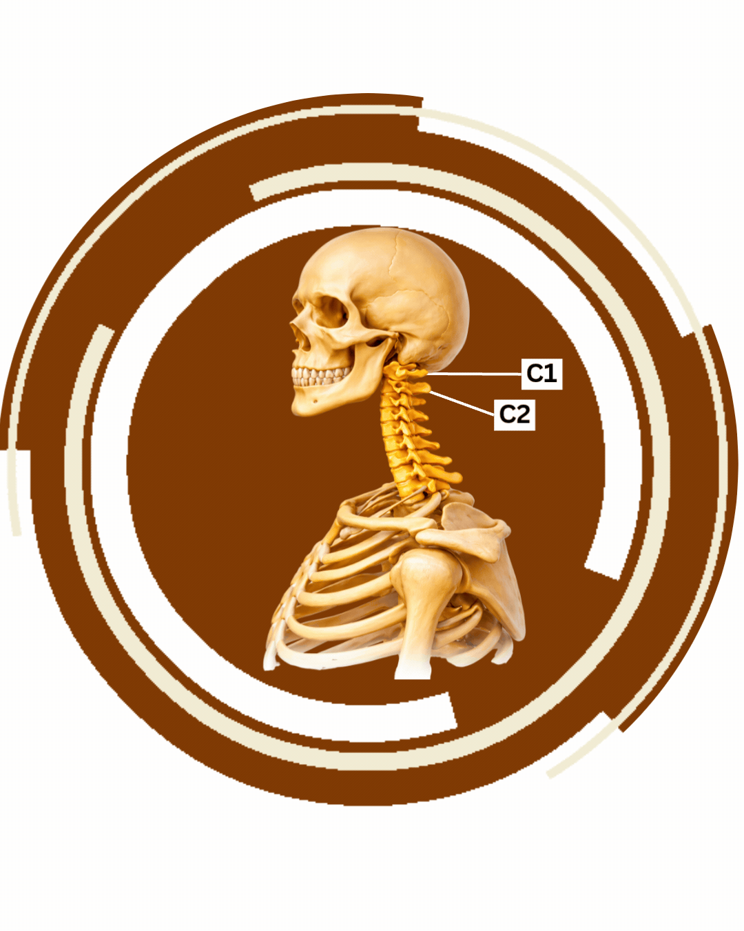 CURE WEBSITE GRAPHIC